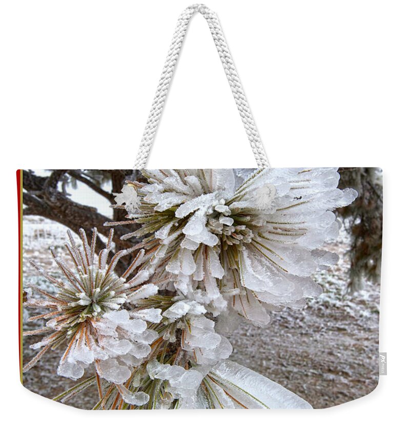 Western Christmas Card Weekender Tote Bag featuring the mixed media Western Themed Christmas Card Pine Needles and Ice by Amanda Smith