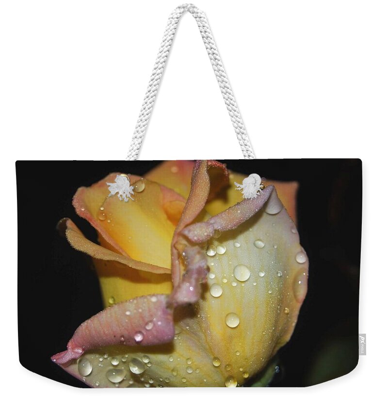 Rose Weekender Tote Bag featuring the photograph Wet and Wonderful by Judy Hall-Folde