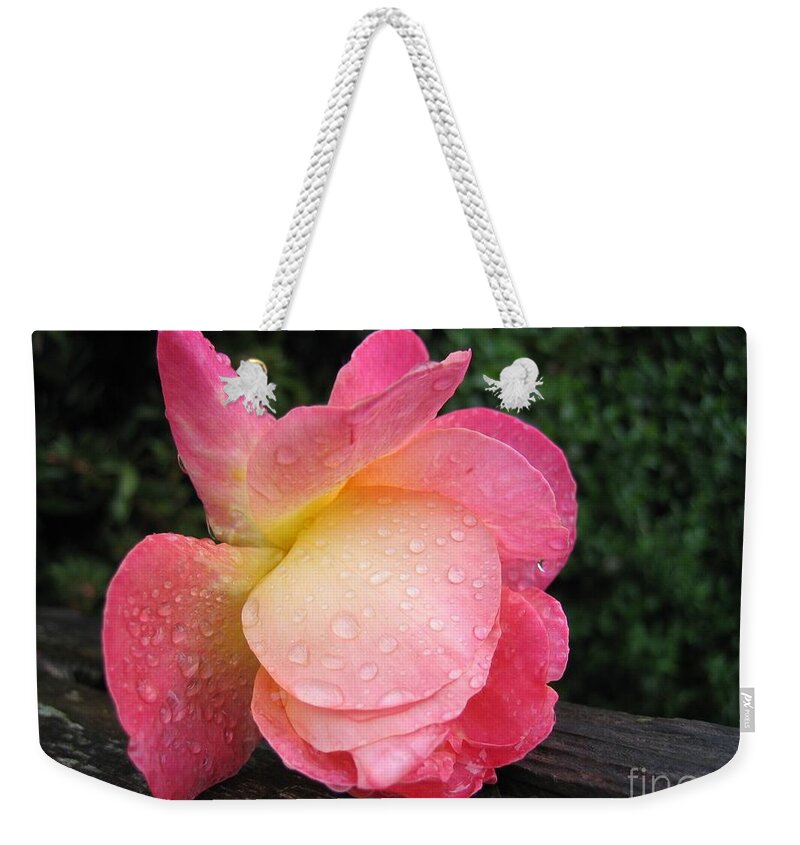 Garden Weekender Tote Bag featuring the photograph Wet Rose by James B Toy