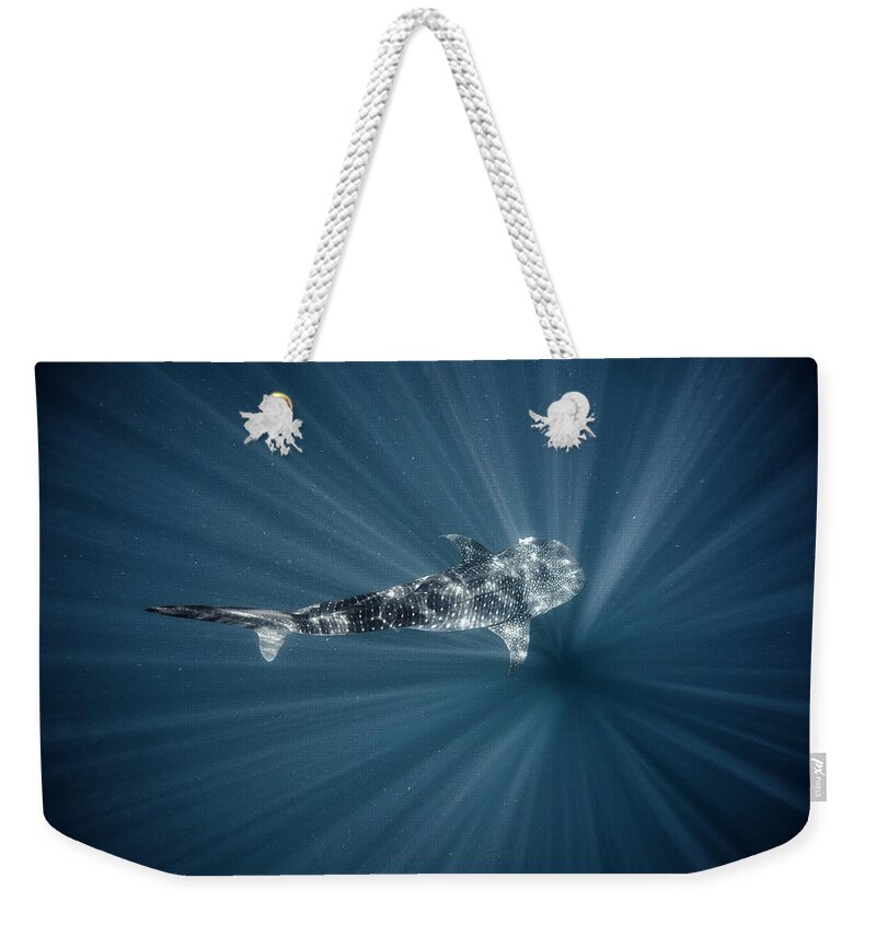 Tranquility Weekender Tote Bag featuring the photograph Whale Shark by Tyler Stableford