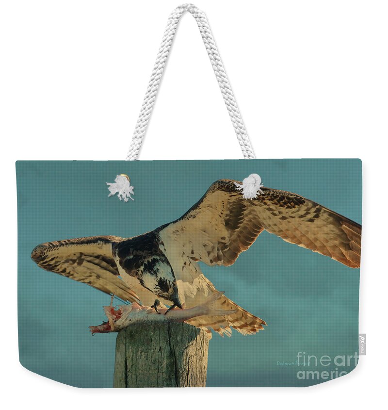 Osprey Weekender Tote Bag featuring the photograph What A Meal by Deborah Benoit