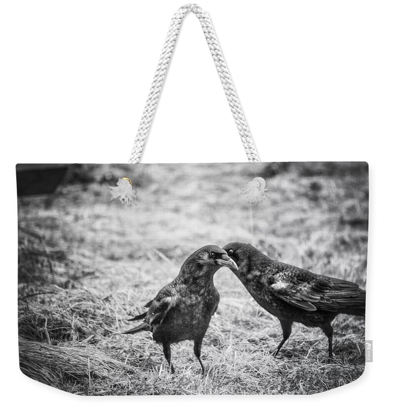 Raven Weekender Tote Bag featuring the photograph What the Raven Said by Sue Capuano