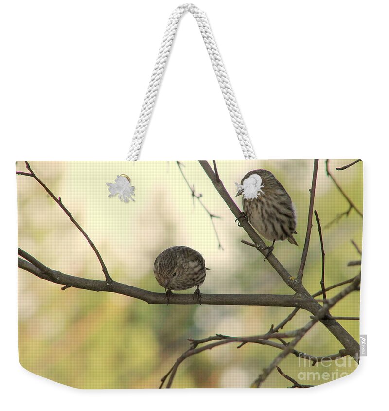 Pine Weekender Tote Bag featuring the photograph Whats Down There by Leone Lund
