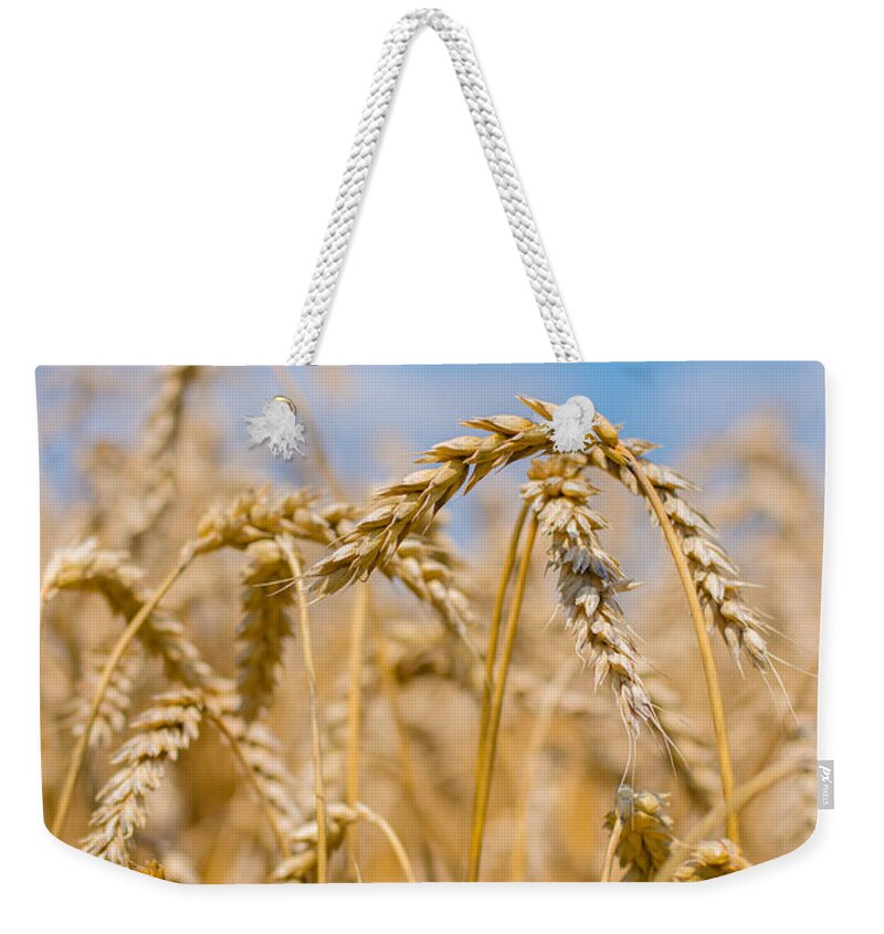 Clouds Weekender Tote Bag featuring the photograph Wheat by Cheryl Baxter