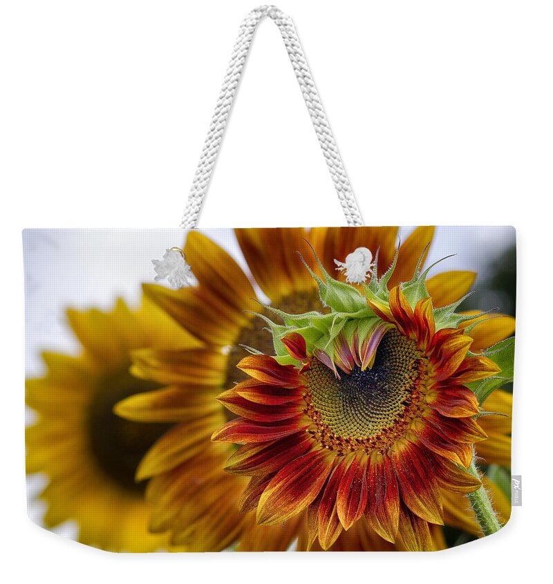 Summer Weekender Tote Bag featuring the photograph Wheels within Wheels by Shirley Mitchell