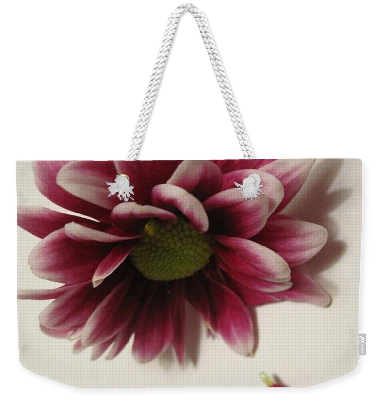 Floral Weekender Tote Bag featuring the photograph When A Daisy Cries by Tara Shalton