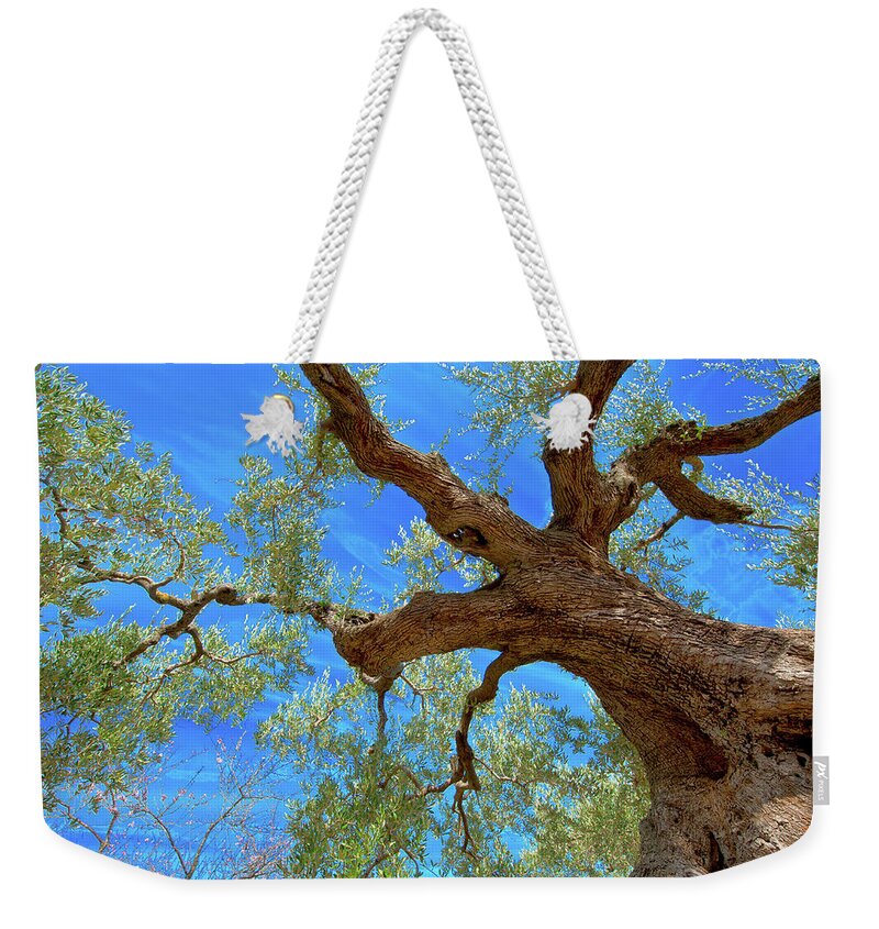 Scenics Weekender Tote Bag featuring the photograph ...when Olive Trees Make A Difference by Jordi Angrill