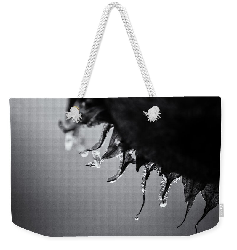 Natural Abstract Weekender Tote Bag featuring the photograph When the Light Goes Out by Sue Capuano