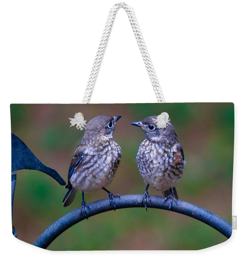 Bluebird Weekender Tote Bag featuring the photograph When's Dad Coming Back? by Robert L Jackson