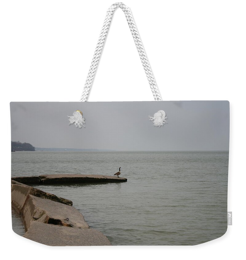 Canadian Geese Weekender Tote Bag featuring the photograph Solitude on Lake Erie by Valerie Collins