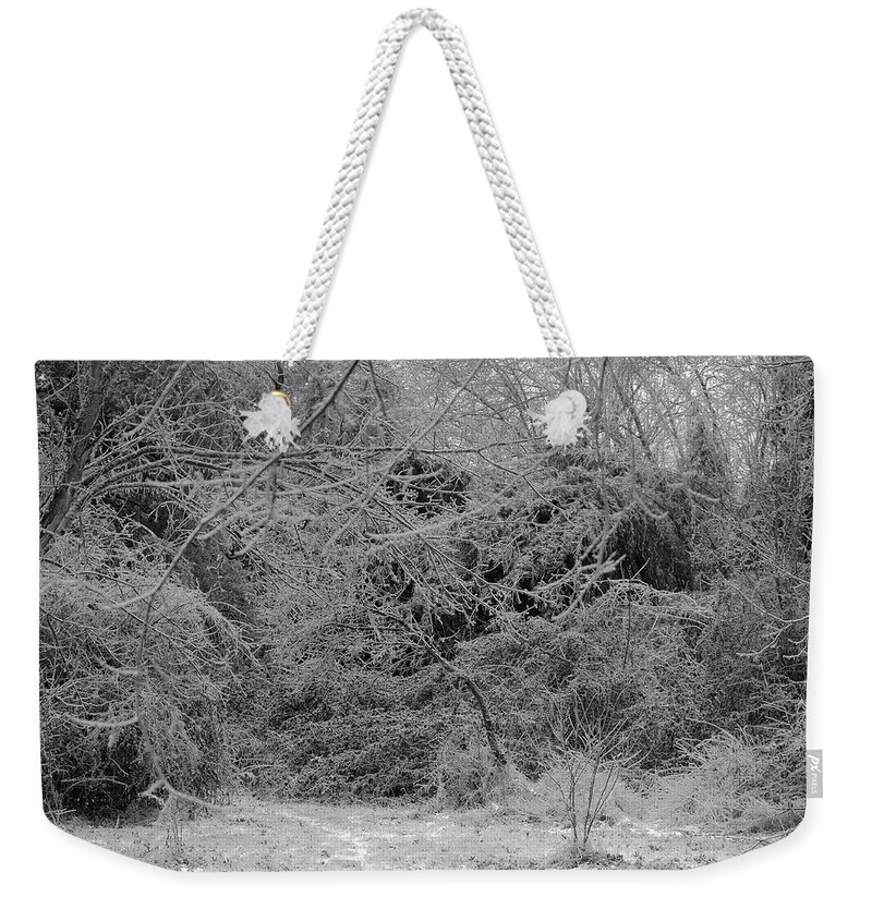 Ice Weekender Tote Bag featuring the photograph Where Is The Trail by Daniel Reed