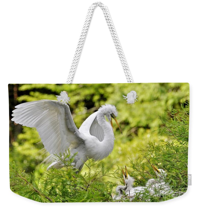 Egret Weekender Tote Bag featuring the photograph Where's Our Lunch Ma by Kathy Baccari
