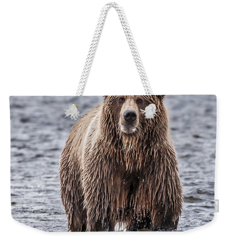 Wild Weekender Tote Bag featuring the photograph Which way did they go by Gary Langley