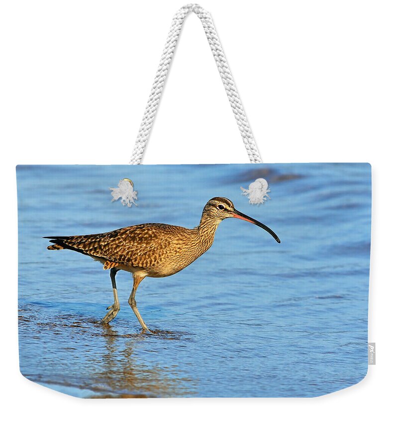 Whimbrel Weekender Tote Bag featuring the photograph Whimbrel by Tony Beck
