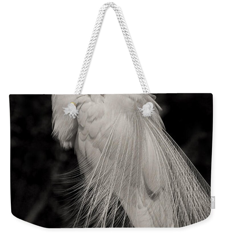 Giant Egret Weekender Tote Bag featuring the photograph Whispy and Delicate by Deborah Benoit