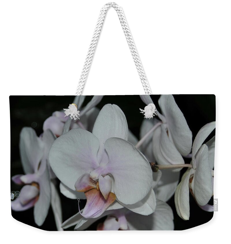 Orchid Weekender Tote Bag featuring the photograph White and Pale Pink Phalaenopsis Macro by Terri Winkler