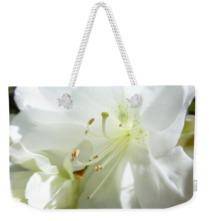 White Weekender Tote Bag featuring the photograph White Azalea by Jennifer Wheatley Wolf