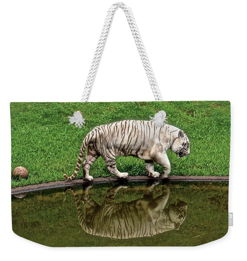 White Tiger Weekender Tote Bag featuring the photograph White Tiger Reflections Hawaii by Venetia Featherstone-Witty