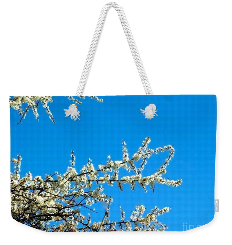 White Blossoms Weekender Tote Bag featuring the photograph White Blossoms Blue Sky by Joan-Violet Stretch
