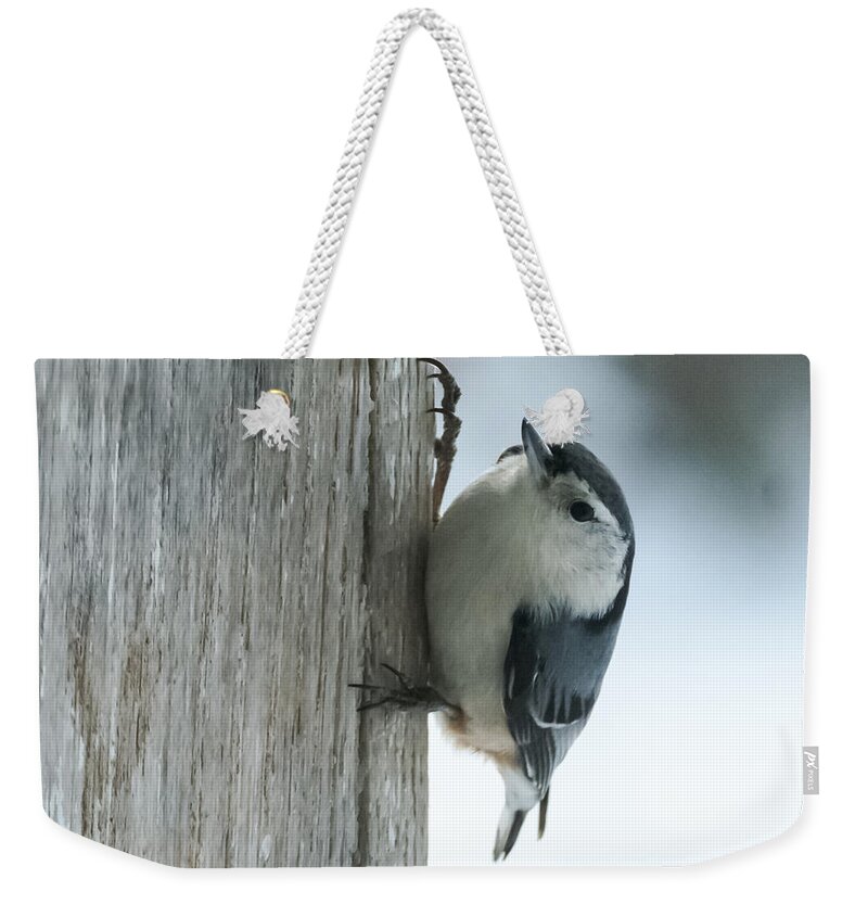 Bird Weekender Tote Bag featuring the photograph White-Breasted Nuthatch by Holden The Moment