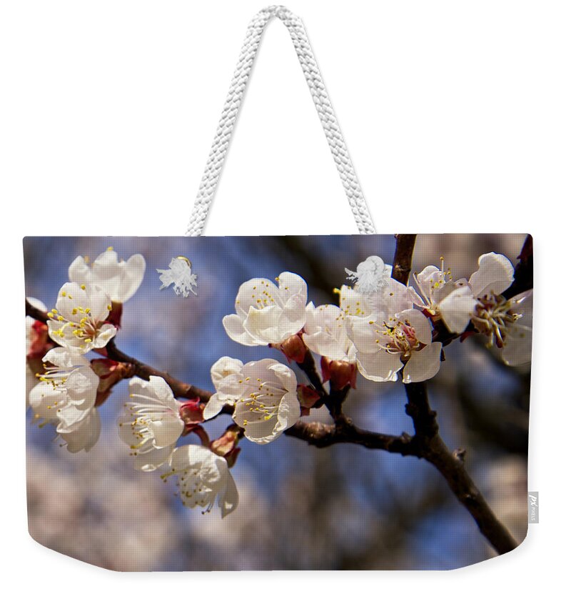 Blossom Weekender Tote Bag featuring the photograph White Cherry Blossoms by Mary Lee Dereske