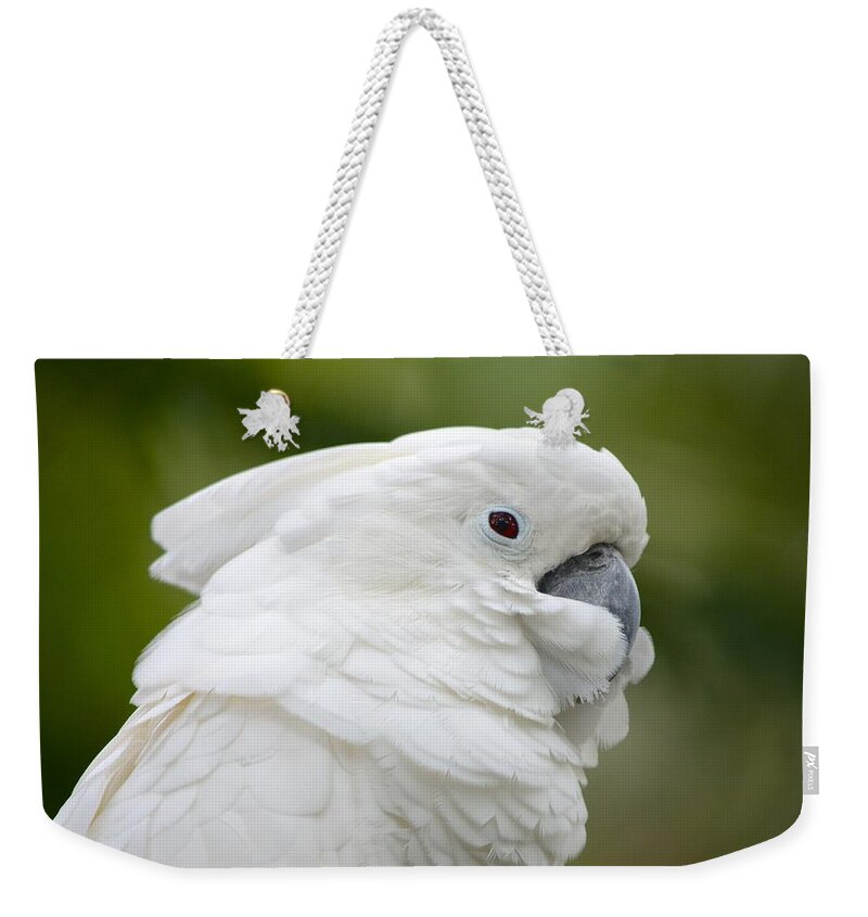 St. Augustine Weekender Tote Bag featuring the photograph White Cockatoo Profile by Richard Bryce and Family