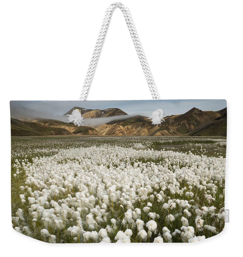 Feb0514 Weekender Tote Bag featuring the photograph White Cottongrass Landmannalaugar by Rob Brown