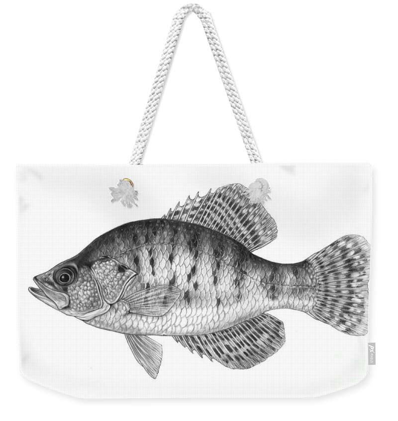 White Crappie Weekender Tote Bag featuring the photograph White Crappie Pomoxis Annularis by Carlyn Iverson