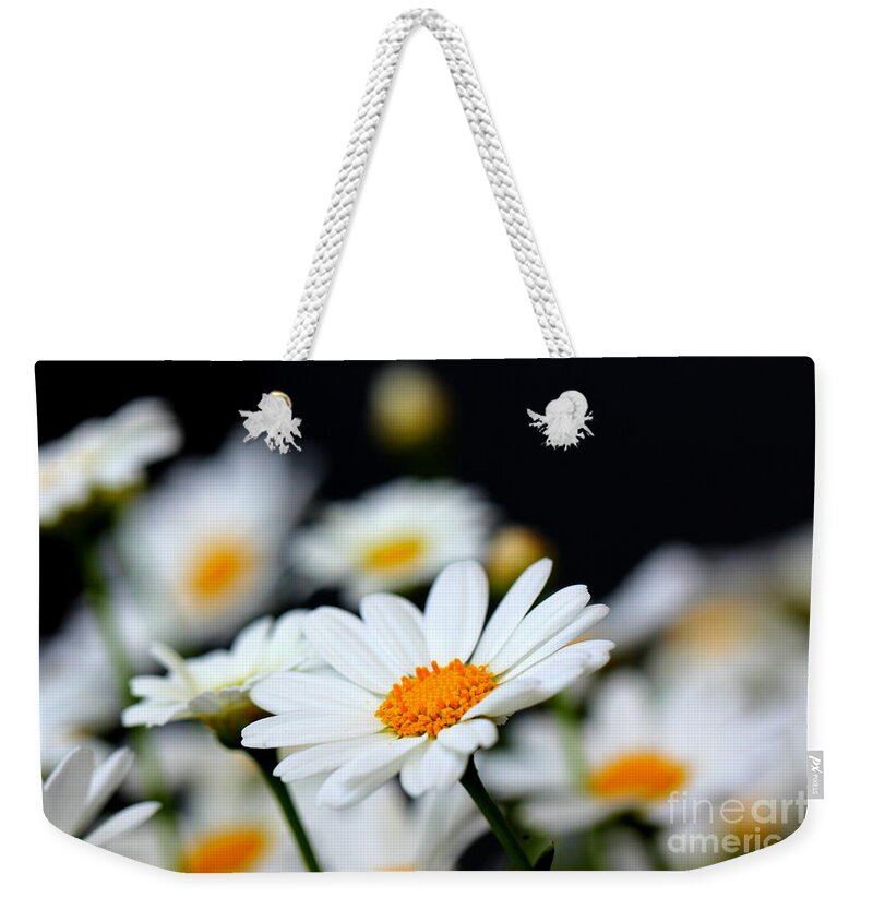 White Weekender Tote Bag featuring the photograph White Daisies 2 by Amanda Mohler