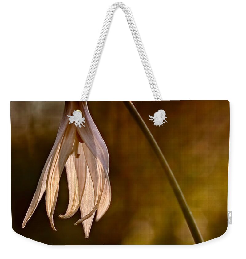2012 Weekender Tote Bag featuring the photograph White Dogtooth Violet by Robert Charity