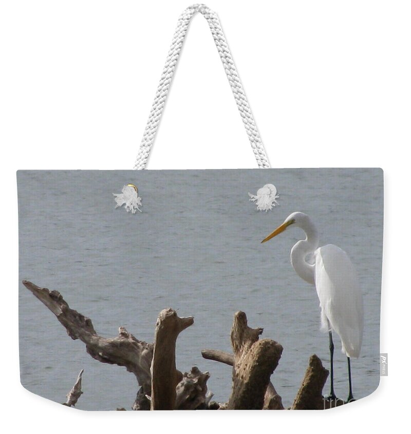 White Egret Weekender Tote Bag featuring the photograph White Egret by Jimmie Bartlett