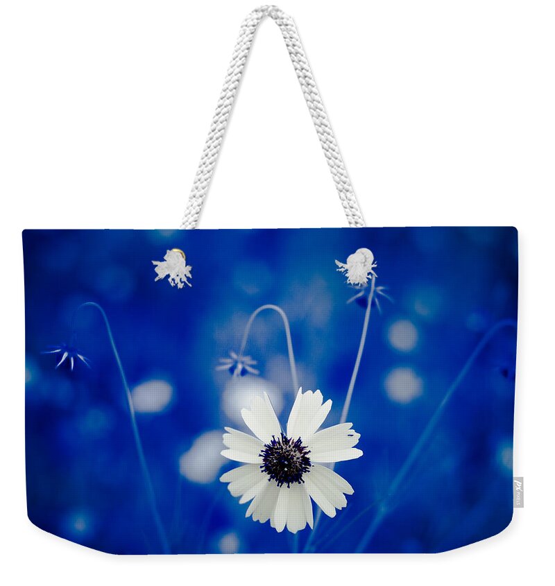 Art Weekender Tote Bag featuring the photograph White Flower by Darryl Dalton