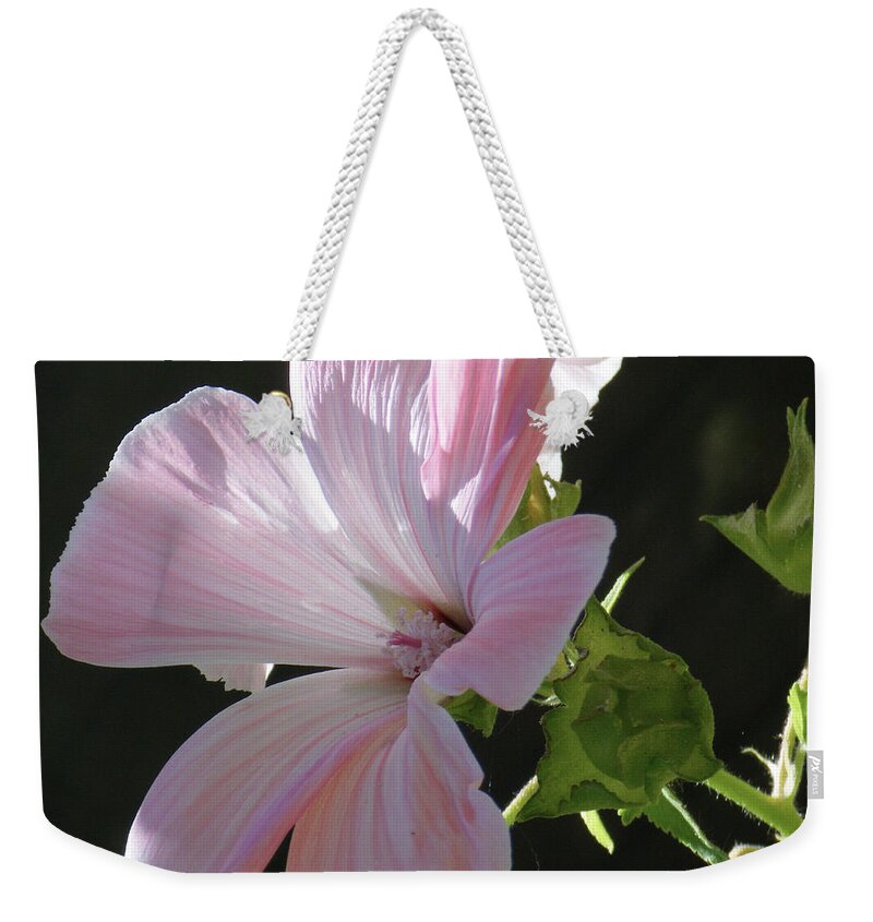 Tamara Kulish Weekender Tote Bag featuring the photograph White Flower in Michelles Garden by Tamara Kulish