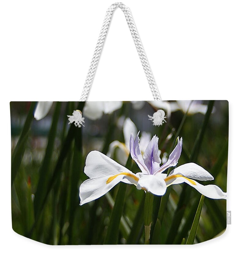 White Weekender Tote Bag featuring the photograph White Iris Flower by Chauncy Holmes