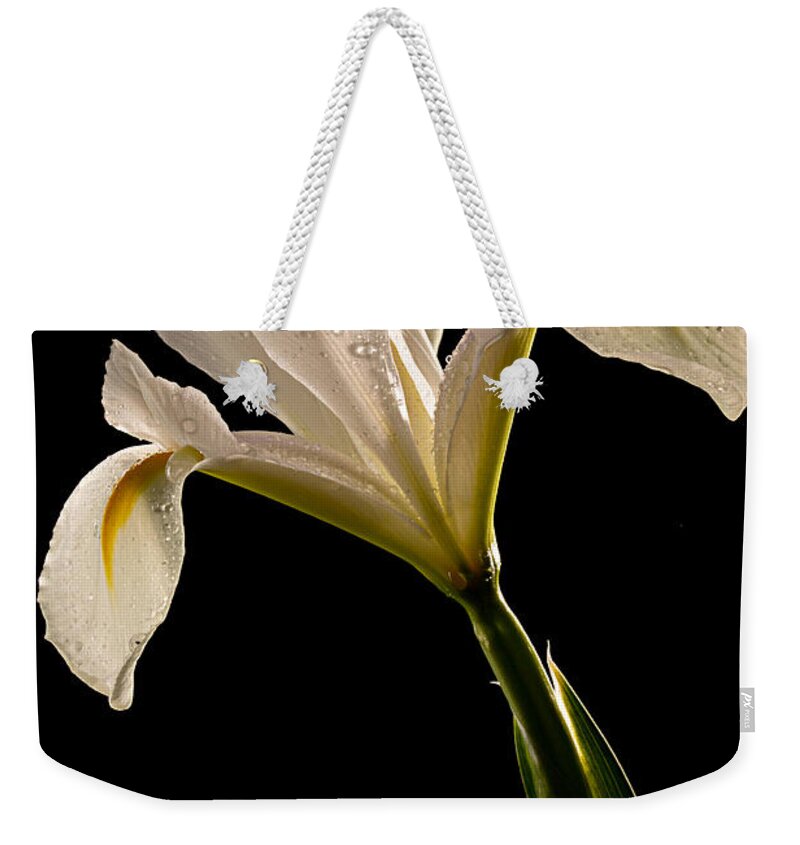 Japanese Weekender Tote Bag featuring the photograph White Iris by Mary Jo Allen