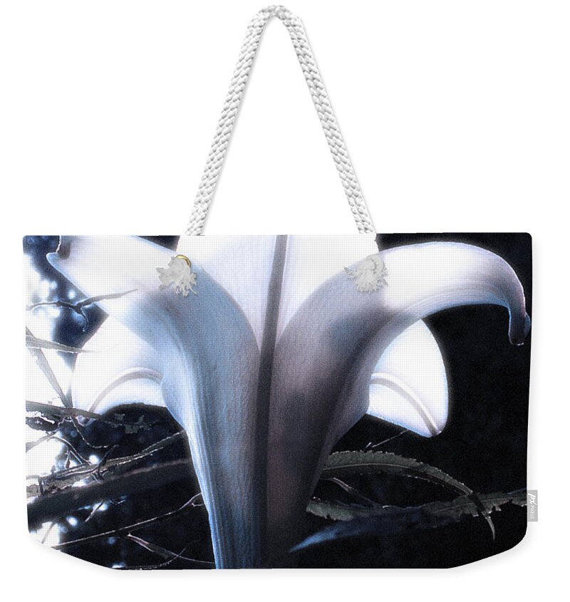 Lily Weekender Tote Bag featuring the photograph White Lily by Jan Marvin by Jan Marvin
