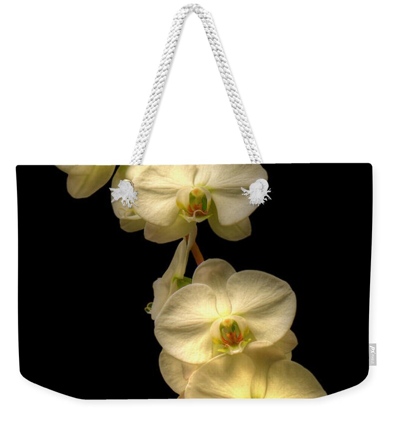 Orchids Weekender Tote Bag featuring the photograph White Orchids On Black by Kathy Baccari