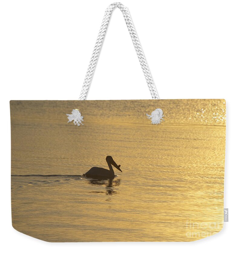 White Weekender Tote Bag featuring the photograph White Pelican on Golden Lake by Joan Wallner