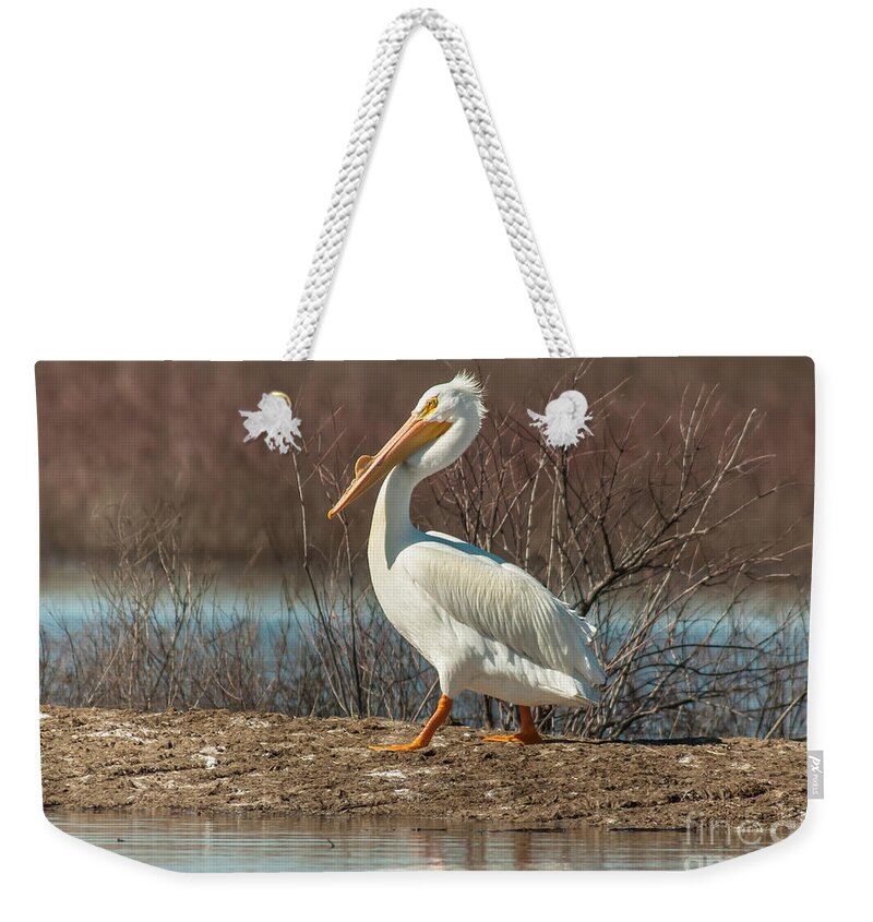 Wildlife Weekender Tote Bag featuring the photograph White Pelican by Robert Frederick