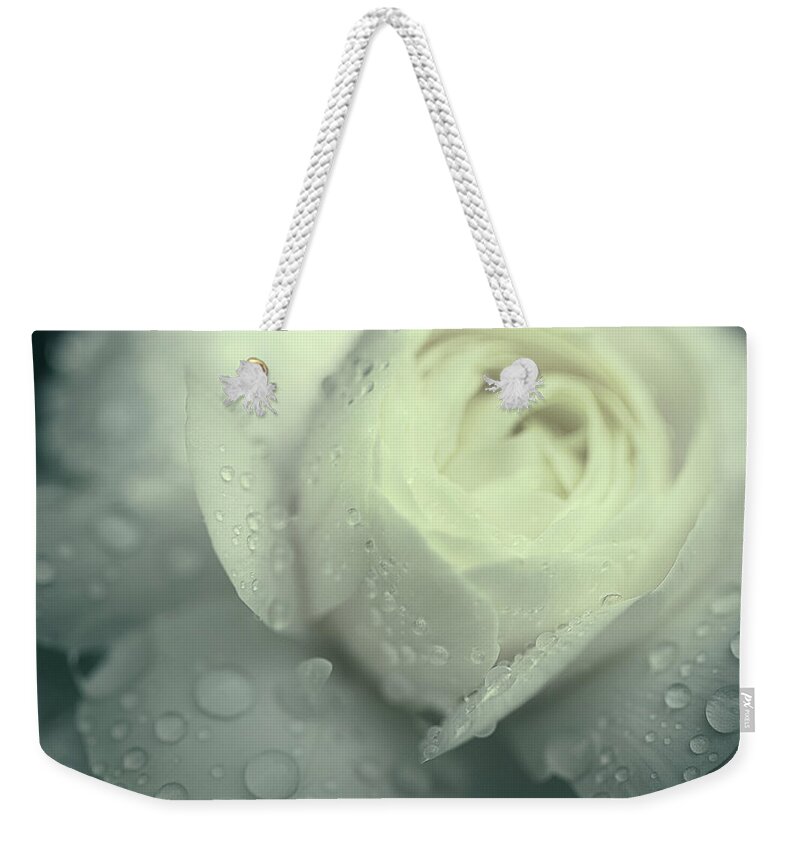 Toronto Weekender Tote Bag featuring the photograph White Ranunculus by Mornigndew Photography