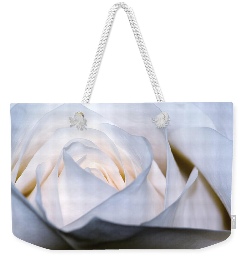 Color Weekender Tote Bag featuring the photograph White Rose by Jim Shackett