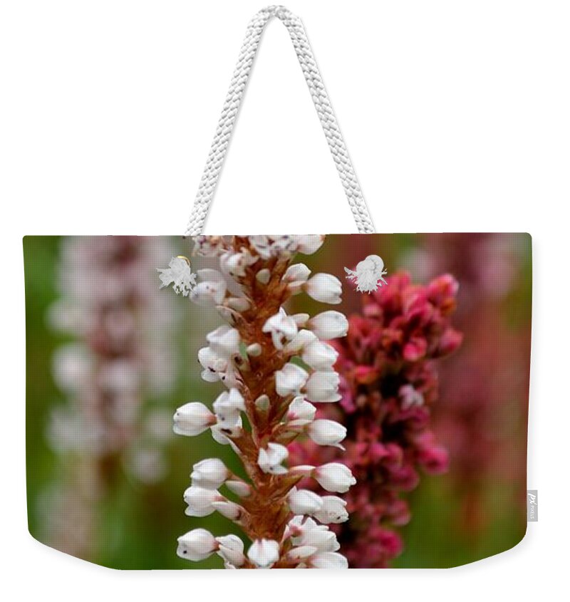White Weekender Tote Bag featuring the photograph White Stalk Flower by Scott Lyons