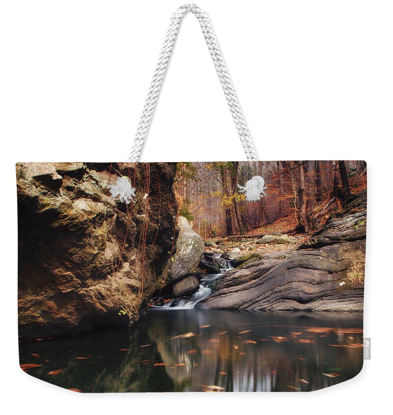 Lanscape Weekender Tote Bag featuring the photograph White tail by Rob Dietrich