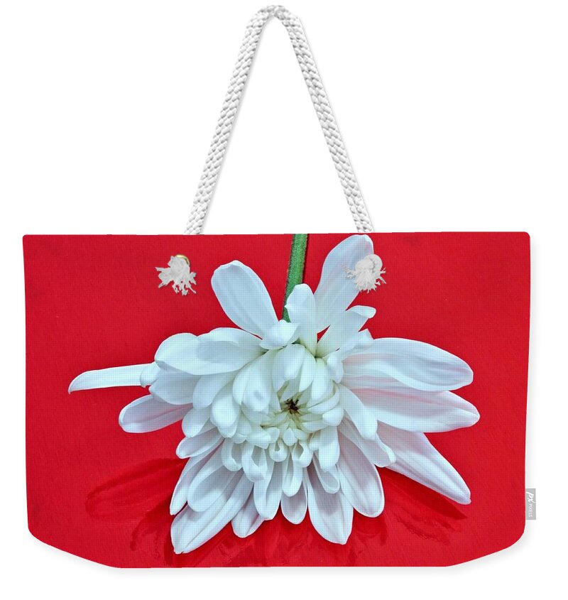 Flower Weekender Tote Bag featuring the photograph White Flower on Bright Red Background by Phyllis Meinke