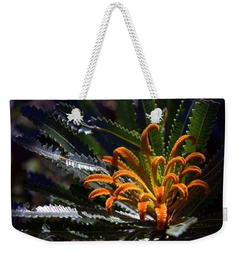 Banksia Weekender Tote Bag featuring the photograph Who am I by Miroslava Jurcik
