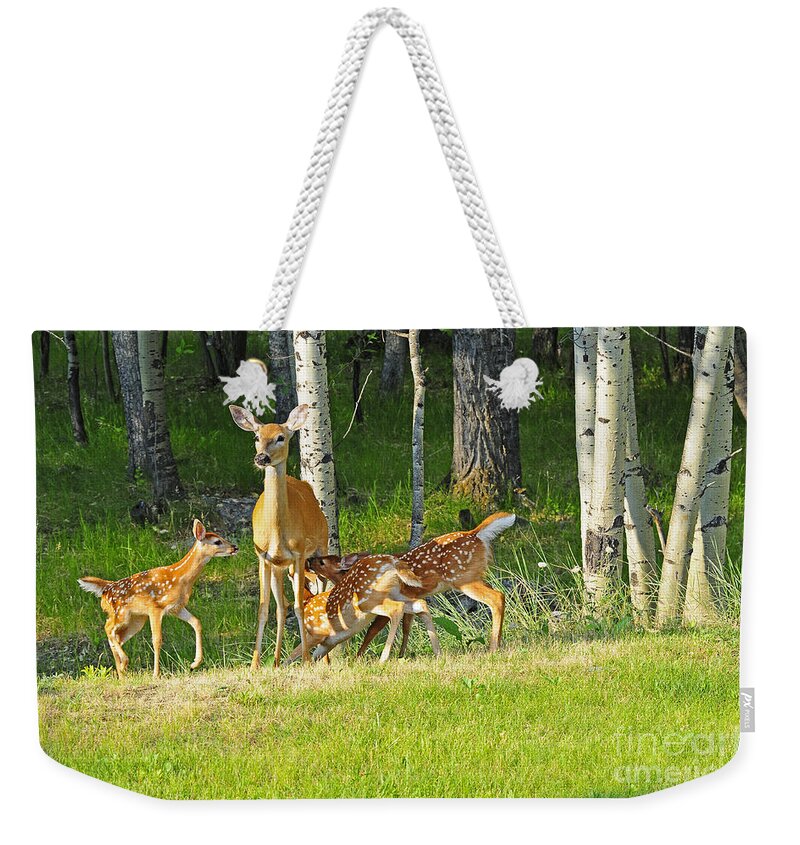 White Tail Deer Weekender Tote Bag featuring the photograph Who Rang The Dinner Bell? by Gary Beeler