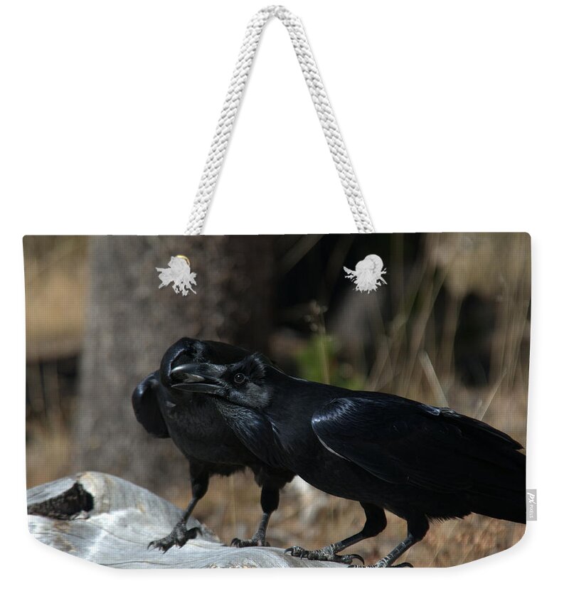 Raven Weekender Tote Bag featuring the photograph Whoa you should see a dentist by Frank Madia
