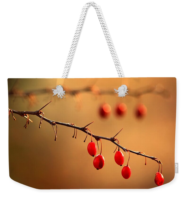 Wild Barberry Weekender Tote Bag featuring the photograph Wild Barberry by Carolyn Derstine