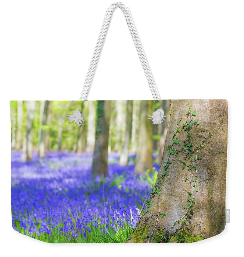 Tranquility Weekender Tote Bag featuring the photograph Wild Bluebell Bokeh by Andrew Thomas