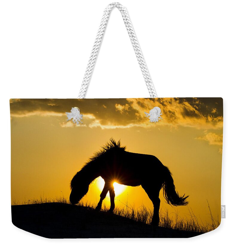 Horse Weekender Tote Bag featuring the photograph Wild Horse and Setting Sun by Bob Decker